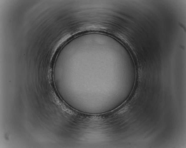 X0000101211029200807181413