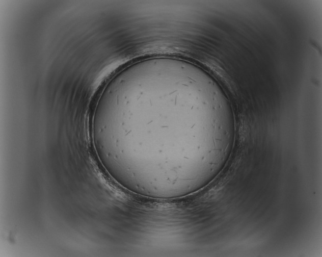 X0000101211030200807181413