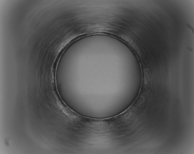 X0000101211031200807181413