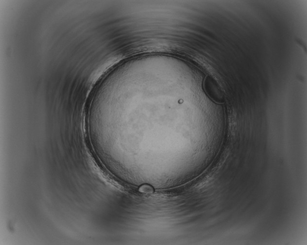 X0000101211034200807181413