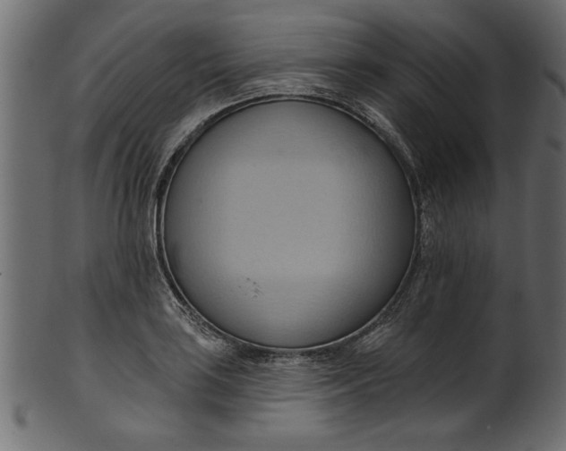 X0000101211035200807181413