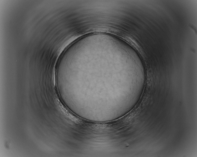 X0000101211036200807181413