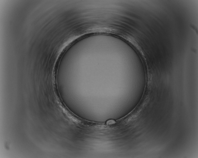 X0000101211037200807181413