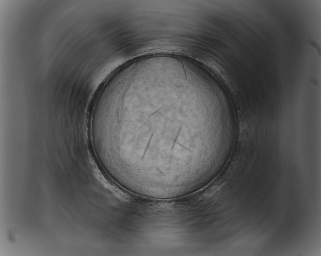 X0000101211038200807181413