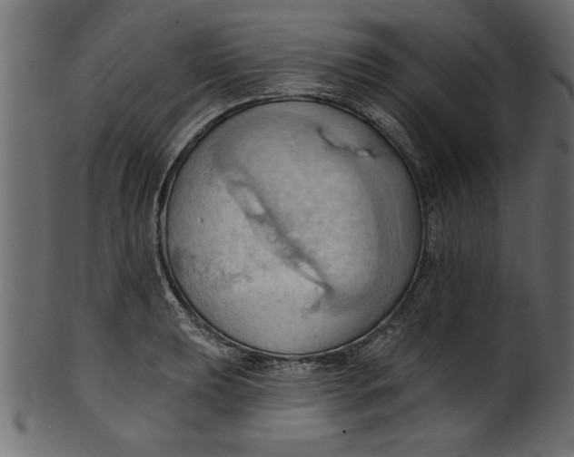 X0000101211039200807181413