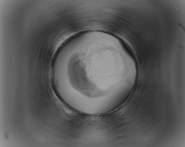 X0000101211040200807181413