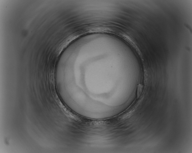 X0000101211041200807181413