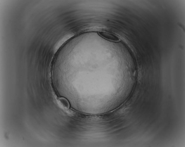 X0000101211042200807181413