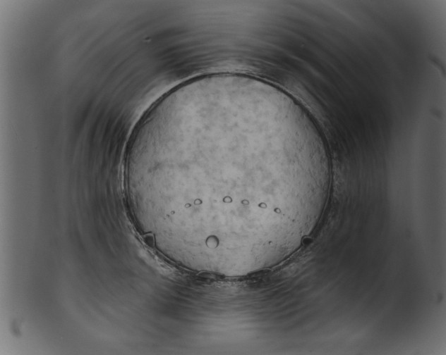 X0000101211044200807181413