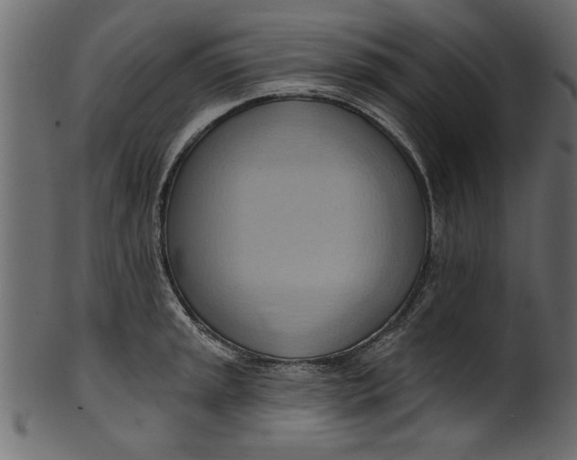 X0000101211045200807181413