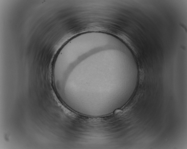 X0000101211046200807181413