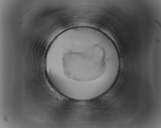 X0000101211048200807181413