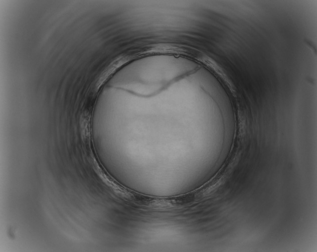 X0000101211049200807181414