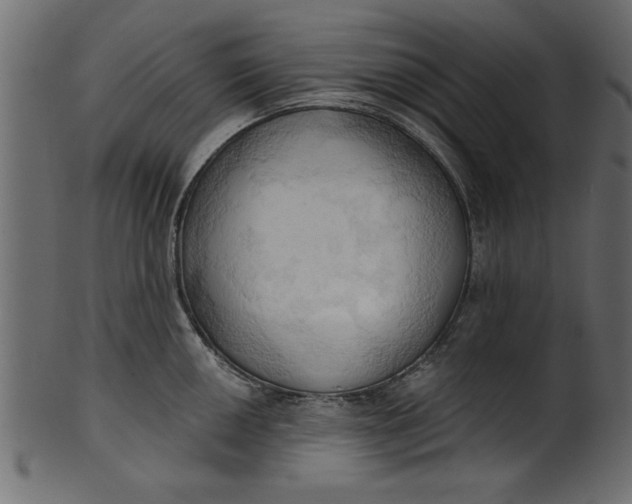 X0000101211050200807181414