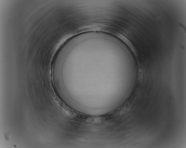 X0000101211051200807181414