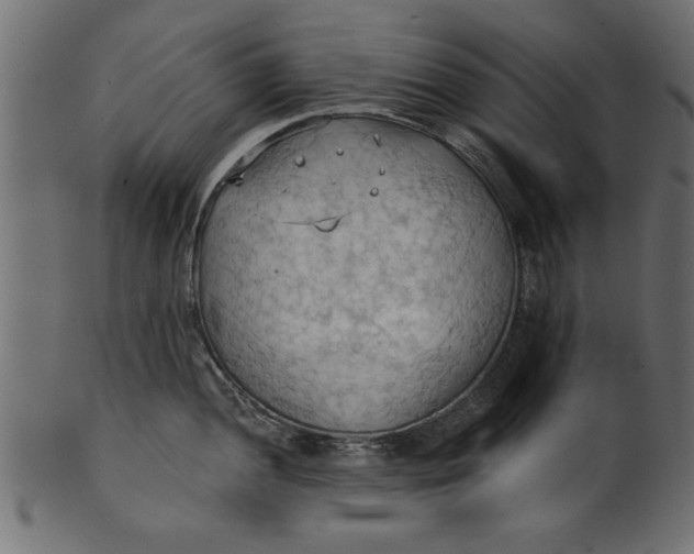 X0000101211052200807181414