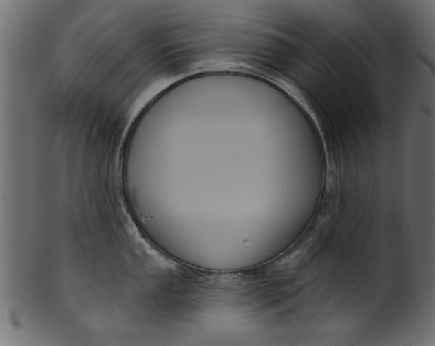 X0000101211053200807181414