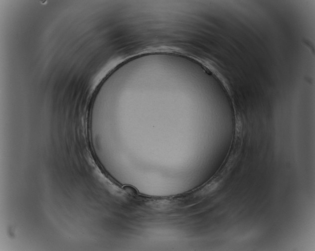 X0000101211054200807181414