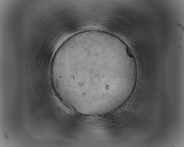 X0000101211056200807181414