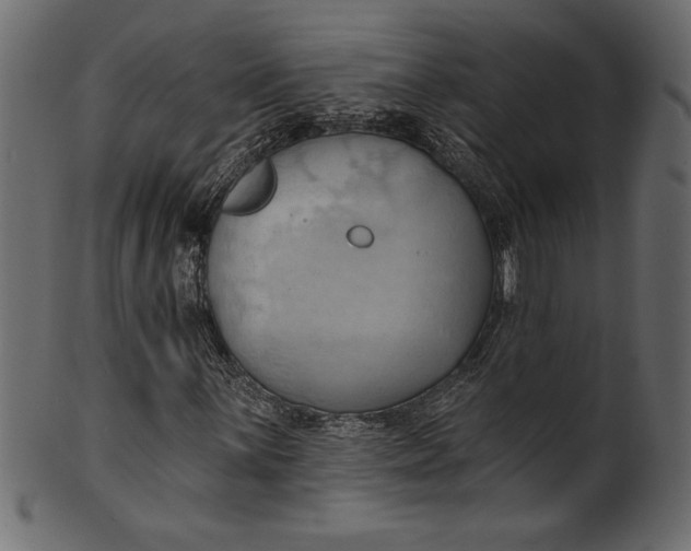 X0000101211059200807181413