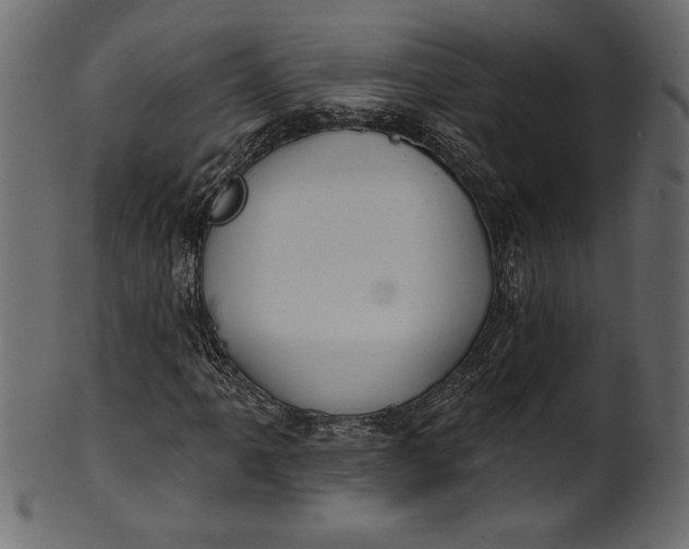 X0000101211061200807181413