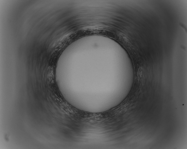 X0000101211062200807181413