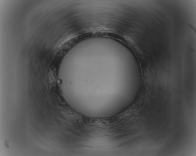 X0000101211063200807181413