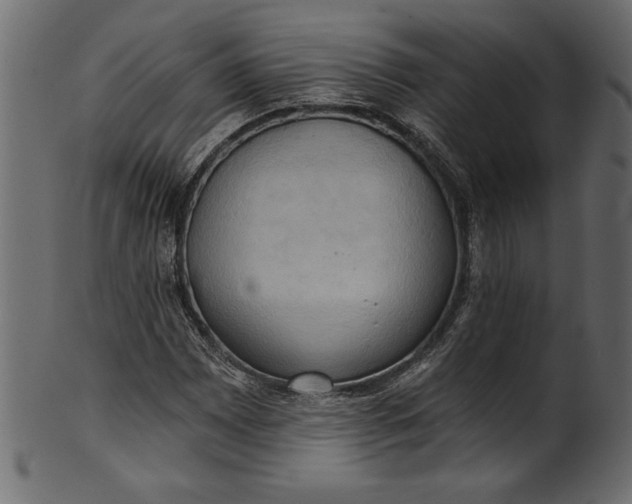 X0000101211065200807181413