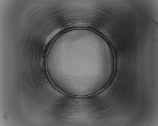 X0000101211066200807181413