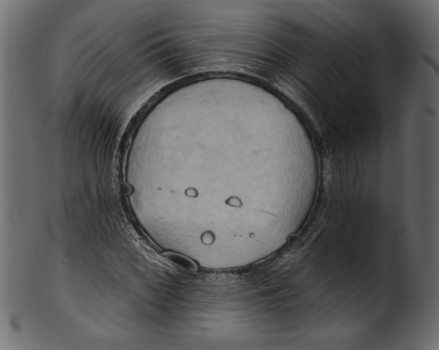 X0000101211068200807181413