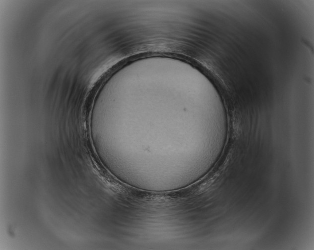 X0000101211070200807181413