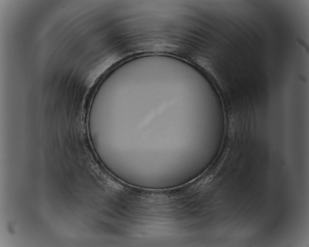 X0000101211071200807181413