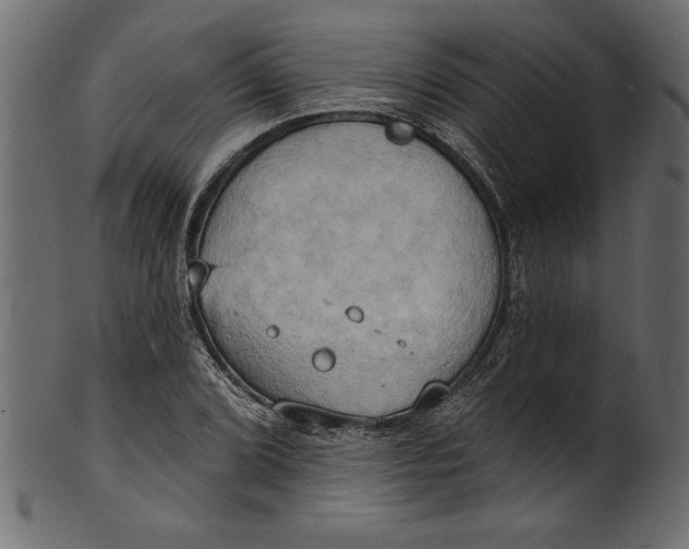 X0000101211072200807181413