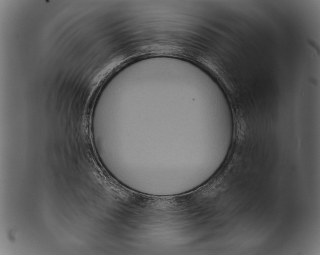 X0000101211074200807181413