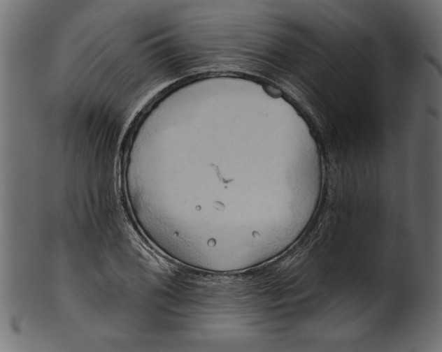 X0000101211076200807181413