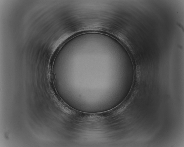 X0000101211077200807181413