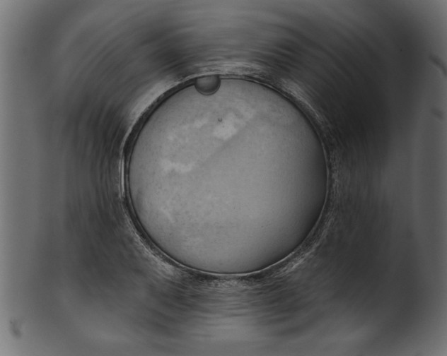 X0000101211079200807181413