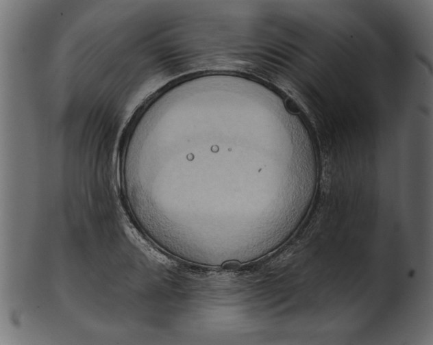 X0000101211080200807181413