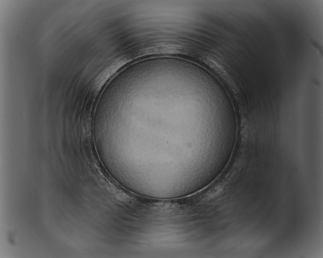 X0000101211081200807181413