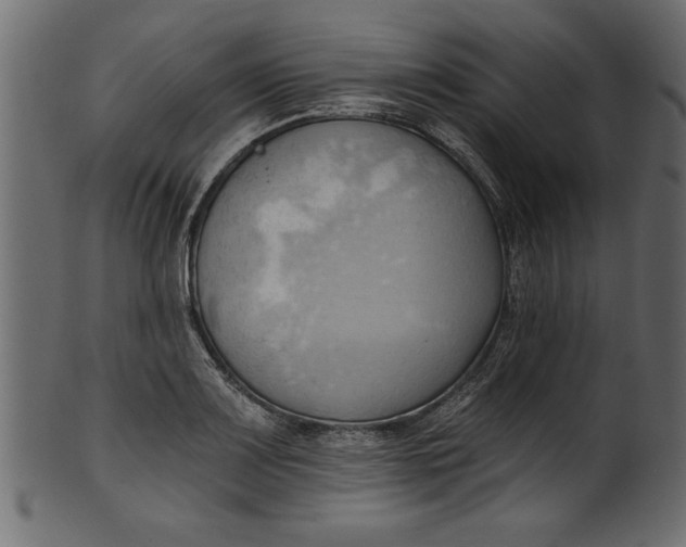 X0000101211083200807181413