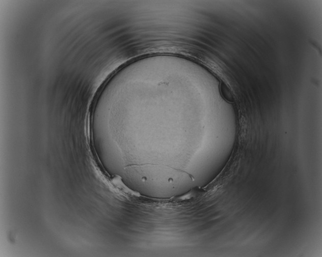 X0000101211084200807181413