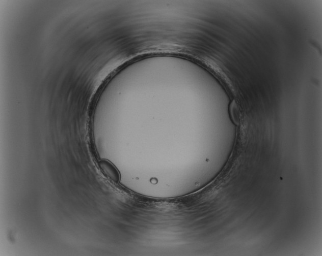 X0000101211085200807181413