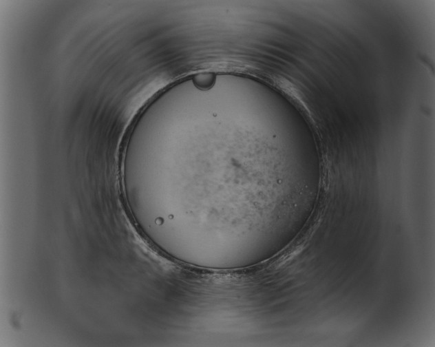 X0000101211087200807181413