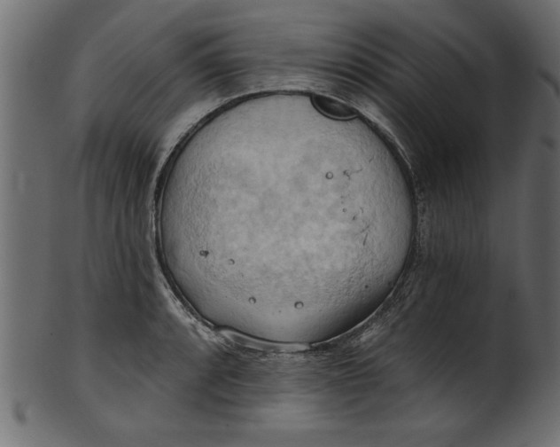 X0000101211088200807181413