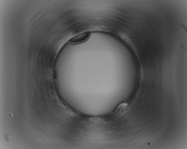 X0000101211089200807181412