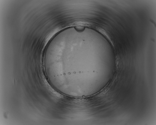 X0000101211091200807181412