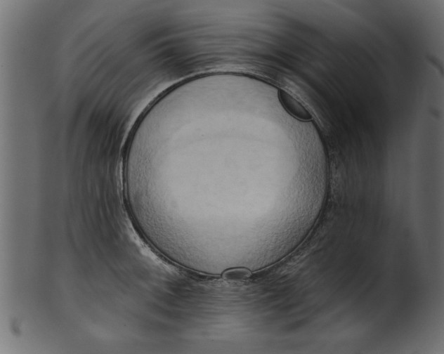 X0000101211092200807181412