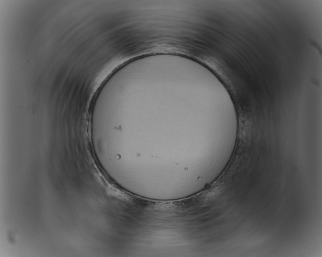 X0000101211094200807181412