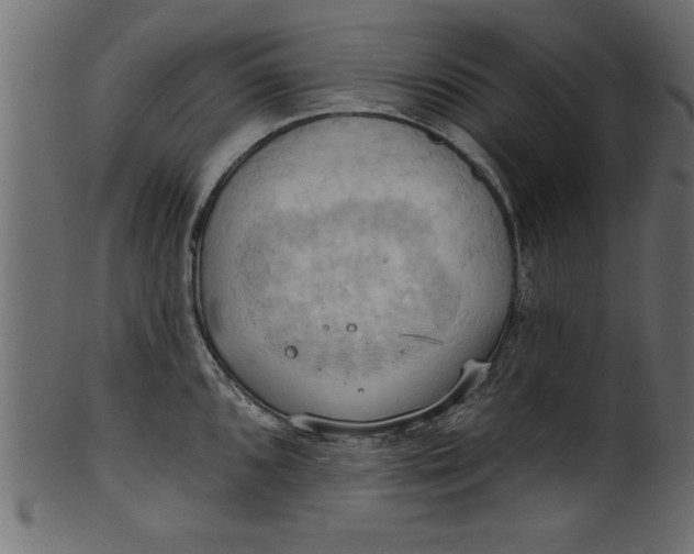 X0000101211096200807181412