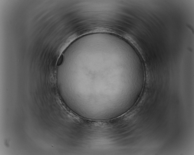 X0000101211097200807181412